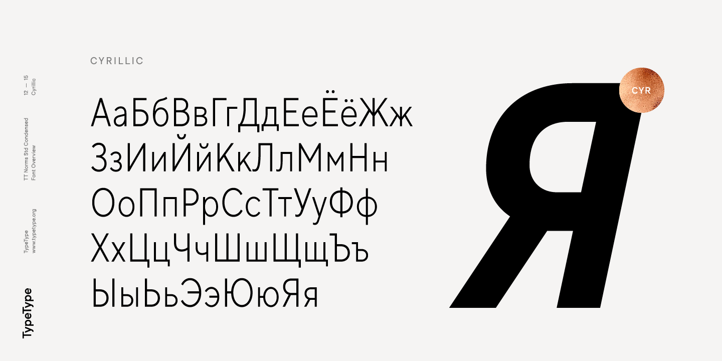 TT Norms Std Condensed Italic Font preview